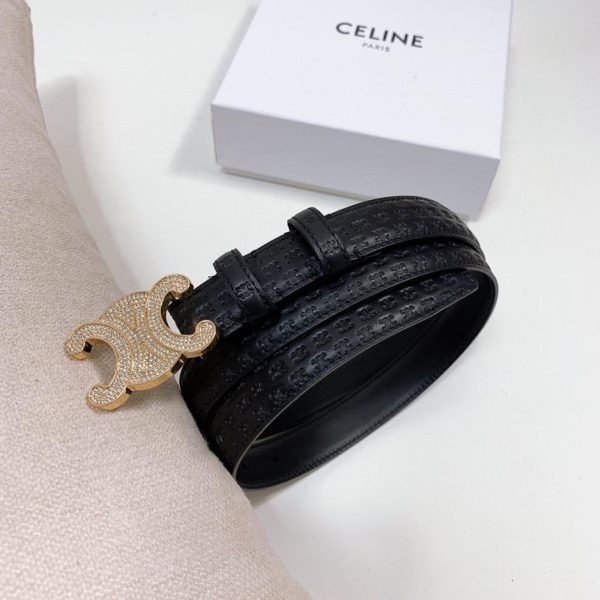 replik,replica,schmuck,1:1,beste,ohrringe,ring,Repliken Celine-Gürtel 2,5 cm