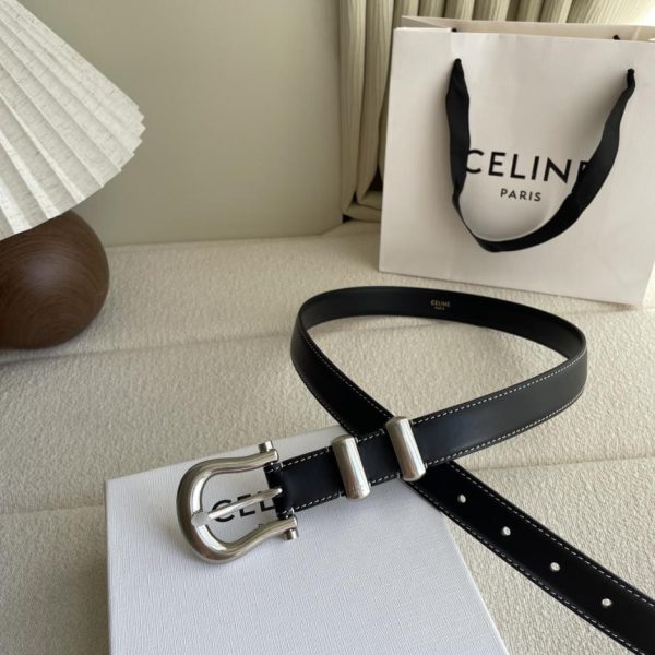 replik,replica,schmuck,1:1,beste,ohrringe,ring,Repliken Celine U-förmiger Damengürtel mit Dornschließe, Breite 2,5 cm