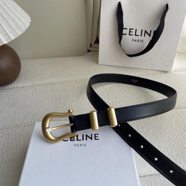 replik,replica,schmuck,1:1,beste,ohrringe,ring,Repliken Celine U-förmiger Damengürtel mit Dornschließe, Breite 2,5 cm