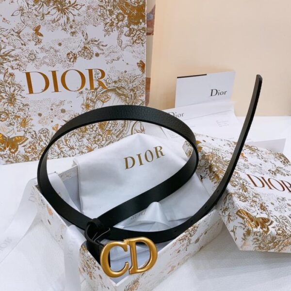 replik,replica,schmuck,1:1,beste,ohrringe,ring,Repliken Dior Sattelgürtel 2,0 cm (83Q9Z)