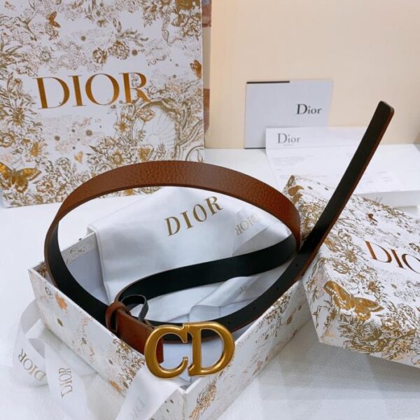 replik,replica,schmuck,1:1,beste,ohrringe,ring,Repliken Dior Sattelgürtel 2,0 cm (AC3J5)
