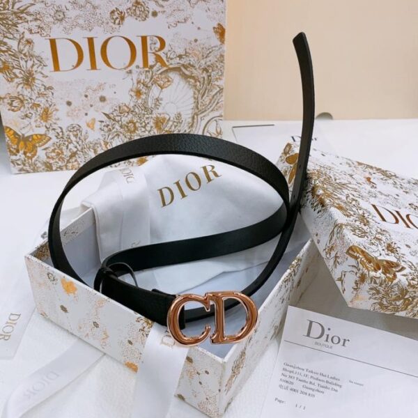 replik,replica,schmuck,1:1,beste,ohrringe,ring,Repliken Dior Sattelgürtel 2,0 cm (JQ2ET)