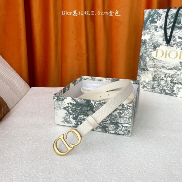 replik,replica,schmuck,1:1,beste,ohrringe,ring,Repliken Dior Sattelgürtel 2,0 cm (E3EPU)