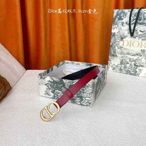 replik,replica,schmuck,1:1,beste,ohrringe,ring,Repliken Dior Sattelgürtel Breite 2,0 cm (T9JPB)