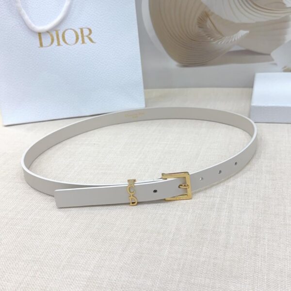 replik,replica,schmuck,1:1,beste,ohrringe,ring,Repliken Dior Sattelschlaufengürtel (T7AVD)