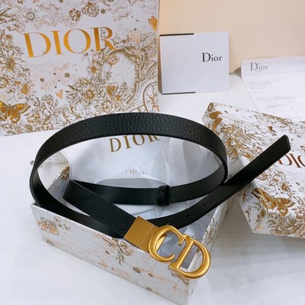 replik,replica,schmuck,1:1,beste,ohrringe,ring,Repliken Dior Sattelgürtel, drehbare Hardware, wendbarer Sattelgürtel, 2,0 cm (6XAGF)