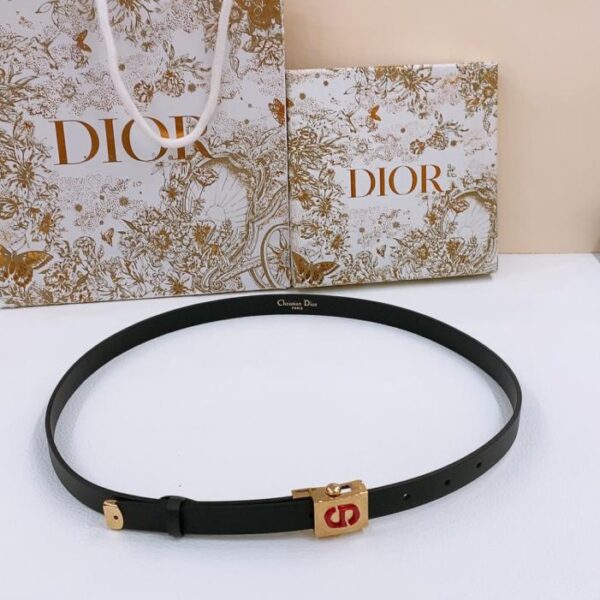 replik,replica,schmuck,1:1,beste,ohrringe,ring,Repliken Dior Polytechnique Gürtel mit vergoldeter Schnalle (YXG3E)