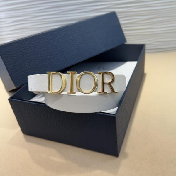 replik,replica,schmuck,1:1,beste,ohrringe,ring,Repliken Neuer Dior-Gürtel (C2XIO)