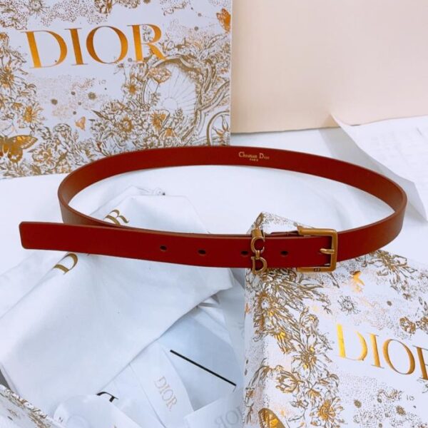 replik,replica,schmuck,1:1,beste,ohrringe,ring,Repliken Dior Sattelschlaufengürtel (D3OLB)