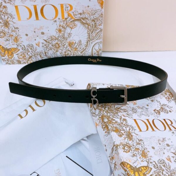 replik,replica,schmuck,1:1,beste,ohrringe,ring,Repliken Dior Sattelschlaufengürtel (MO2F3)