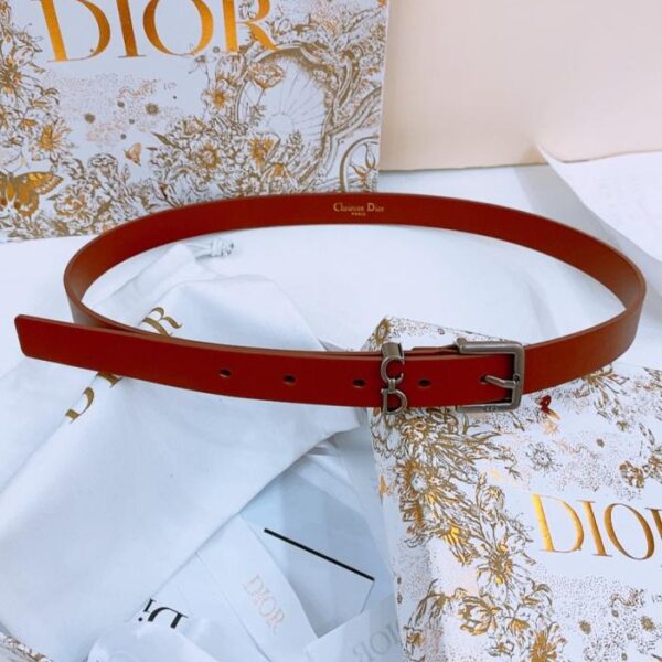 replik,replica,schmuck,1:1,beste,ohrringe,ring,Repliken Dior Sattelschlaufengürtel (U5ICL)