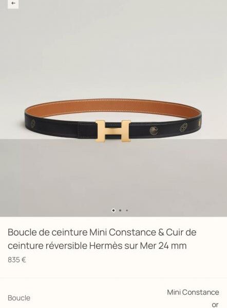 replik,replica,schmuck,1:1,beste,ohrringe,ring,Repliken Hermes Damengürtel, neuer MINI CONSTANCE, Premium-Hardware mit importiertem Epsom-Leder, Breite 24 mm (FJ665)