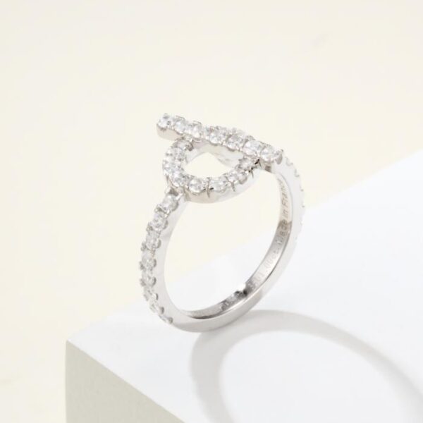 replik,replica,schmuck,1:1,beste,ohrringe,ring,Repliken Nasenring für Schweine (EWVJ9)