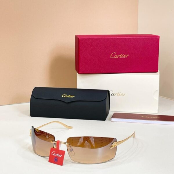 replik,replica,schmuck,1:1,beste,ohrringe,ring,Repliken Cartier Sonnenbrille, Modell CT0503S (JHI0KS)