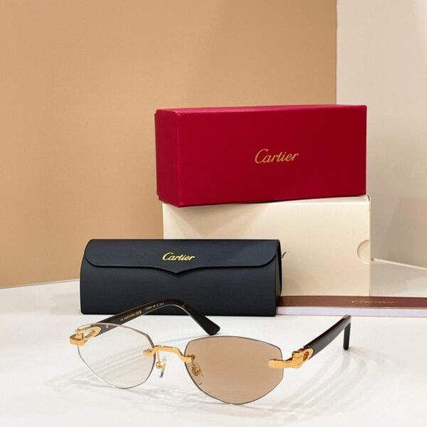 replik,replica,schmuck,1:1,beste,ohrringe,ring,Repliken Cartier Sonnenbrille, Modell CT0580S(H8YFTK)