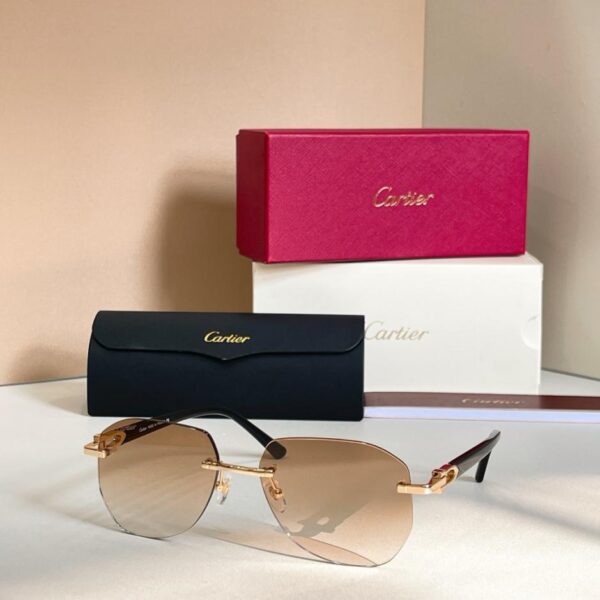 replik,replica,schmuck,1:1,beste,ohrringe,ring,Repliken Cartier Sonnenbrille, Modell CT0583S (NHSGFD)