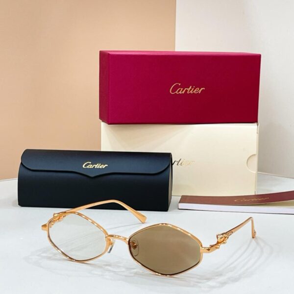 replik,replica,schmuck,1:1,beste,ohrringe,ring,Repliken Cartier Sonnenbrille, Modell CT0751S (VN9MZD)