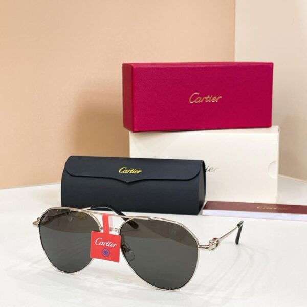 replik,replica,schmuck,1:1,beste,ohrringe,ring,Repliken Cartier Sonnenbrille, Modell CT0364S(11S7CE)