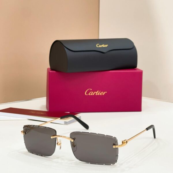 replik,replica,schmuck,1:1,beste,ohrringe,ring,Repliken Cartier-Brille, Modell CT0045O (IU5X8D)