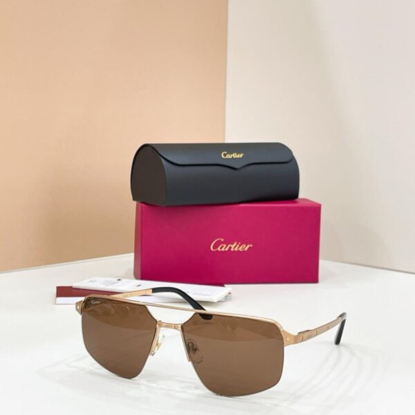 replik,replica,schmuck,1:1,beste,ohrringe,ring,Repliken Cartier-Brille, Modell CT0385S (FHFKLM)