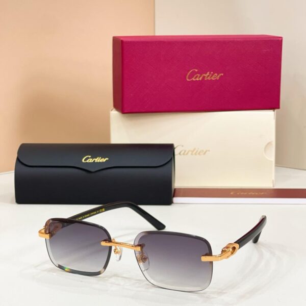 replik,replica,schmuck,1:1,beste,ohrringe,ring,Repliken Cartier-Brille, Modell CT0785S (TCWK84)